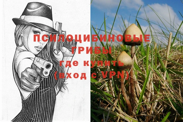 дурь Алексеевка